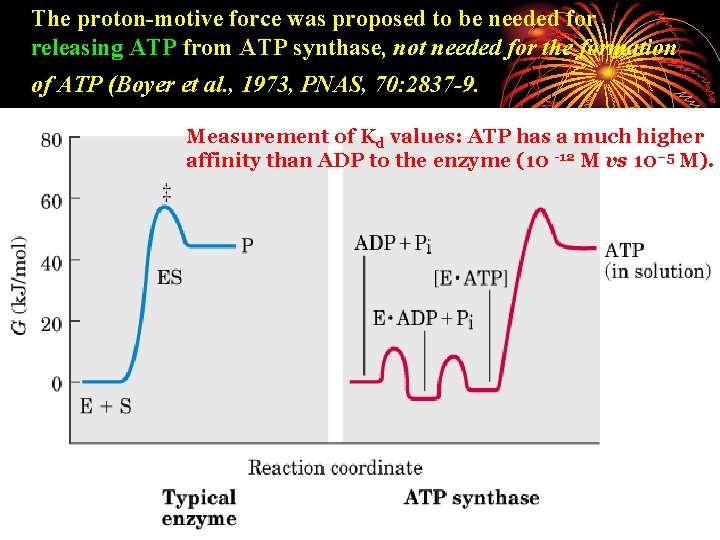 The proton-motive force was proposed to be needed for releasing ATP from ATP synthase,