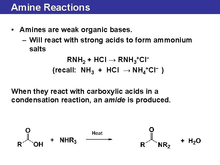 Amine Reactions • Amines are weak organic bases. – Will react with strong acids