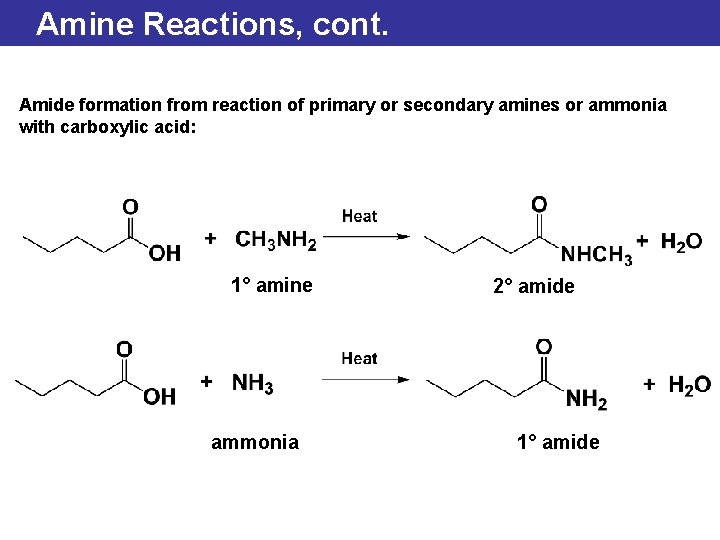 Amine Reactions, cont. Amide formation from reaction of primary or secondary amines or ammonia