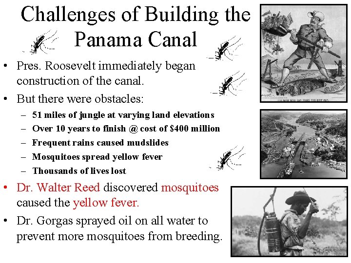 Challenges of Building the Panama Canal • Pres. Roosevelt immediately began construction of the Challenges of Building the Panama Canal • Pres. Roosevelt immediately began construction of the