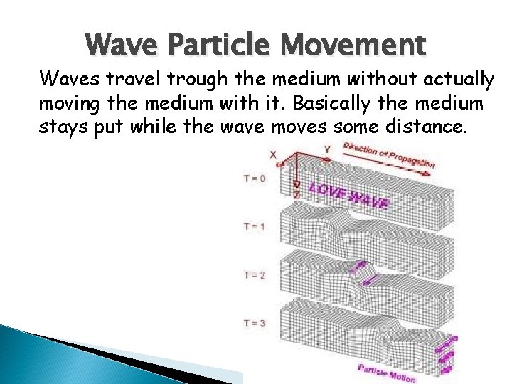 Wave Particle Movement Waves travel trough the medium without actually moving the medium with
