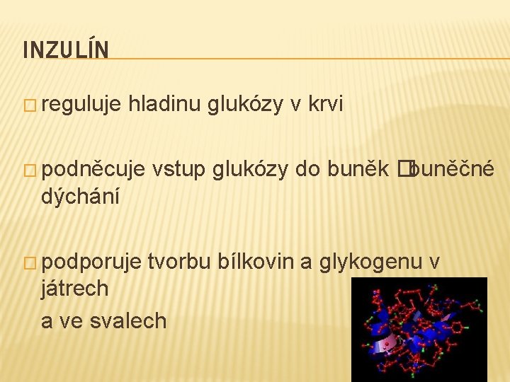 INZULÍN � reguluje hladinu glukózy v krvi � podněcuje vstup glukózy do buněk �buněčné