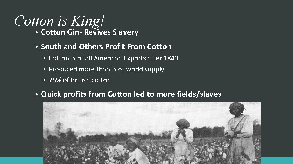 Cotton is King! • Cotton Gin- Revives Slavery • South and Others Profit From