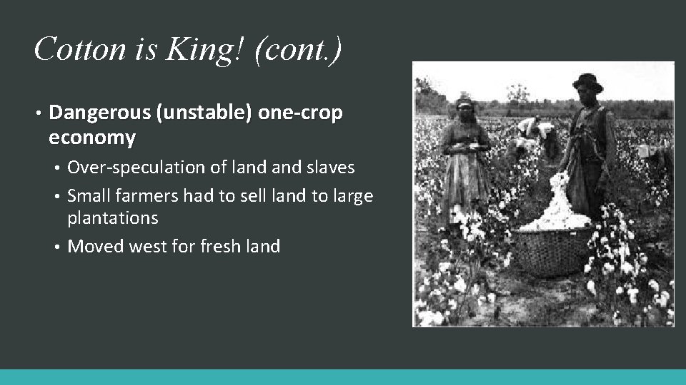 Cotton is King! (cont. ) • Dangerous (unstable) one-crop economy Over-speculation of land slaves