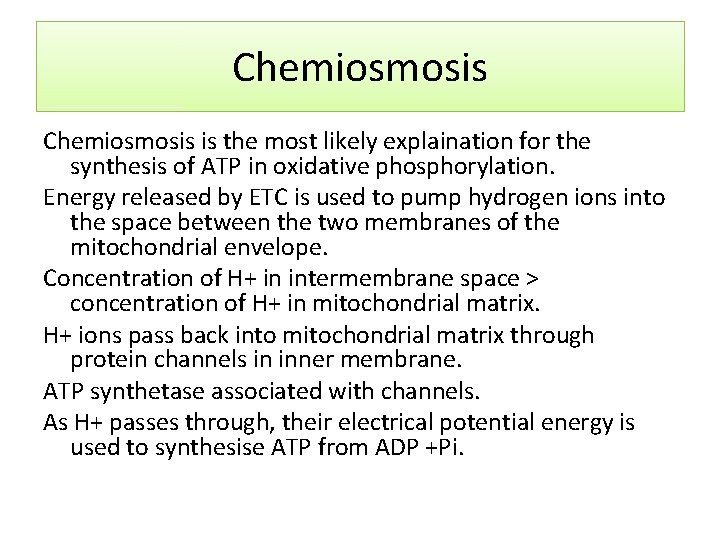 Chemiosmosis is the most likely explaination for the synthesis of ATP in oxidative phosphorylation.