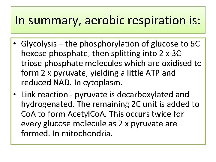 In summary, aerobic respiration is: • Glycolysis – the phosphorylation of glucose to 6