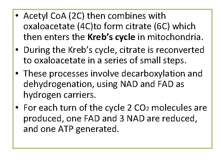  • Acetyl Co. A (2 C) then combines with oxaloacetate (4 C)to form