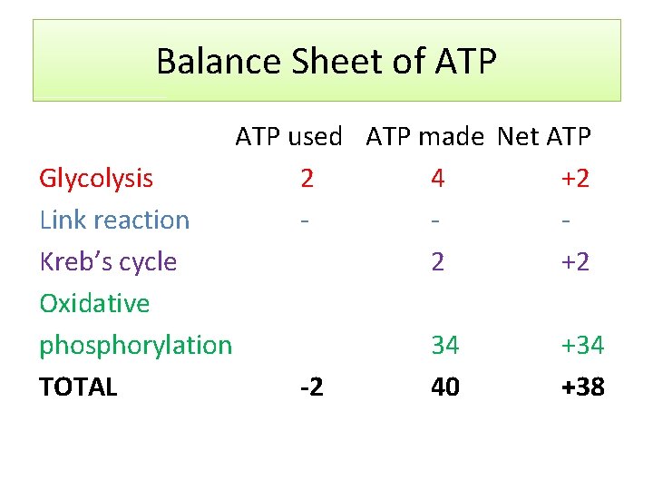 Balance Sheet of ATP Glycolysis Link reaction Kreb’s cycle Oxidative phosphorylation TOTAL ATP used