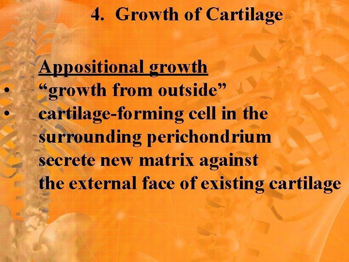 4. Growth of Cartilage • • Appositional growth “growth from outside” cartilage-forming cell in