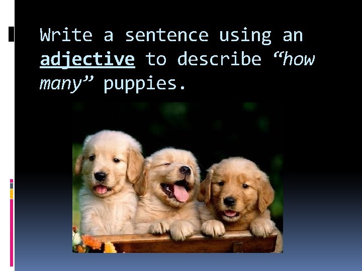 Write a sentence using an adjective to describe “how many” puppies. 
