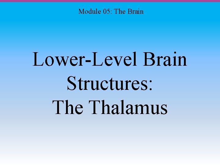 Module 05: The Brain Lower-Level Brain Structures: The Thalamus 