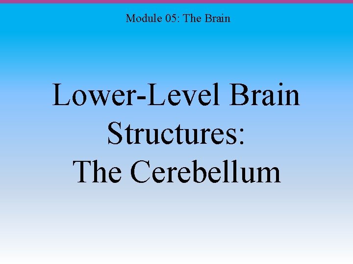 Module 05: The Brain Lower-Level Brain Structures: The Cerebellum 