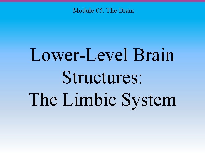 Module 05: The Brain Lower-Level Brain Structures: The Limbic System 