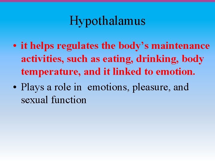 Hypothalamus • it helps regulates the body’s maintenance activities, such as eating, drinking, body