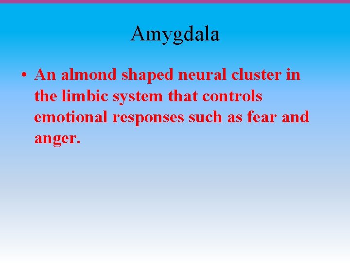 Amygdala • An almond shaped neural cluster in the limbic system that controls emotional