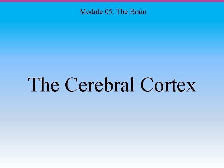 Module 05: The Brain The Cerebral Cortex 