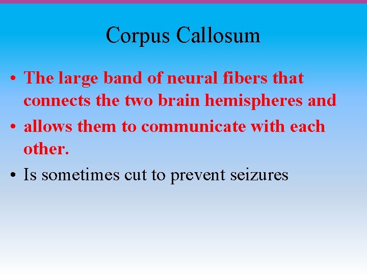 Corpus Callosum • The large band of neural fibers that connects the two brain