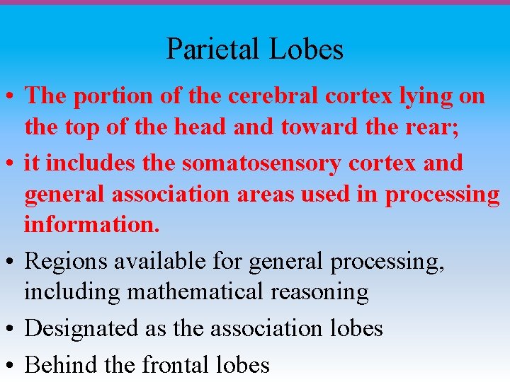 Parietal Lobes • The portion of the cerebral cortex lying on the top of