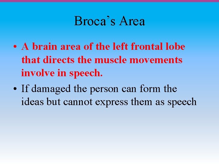 Broca’s Area • A brain area of the left frontal lobe that directs the