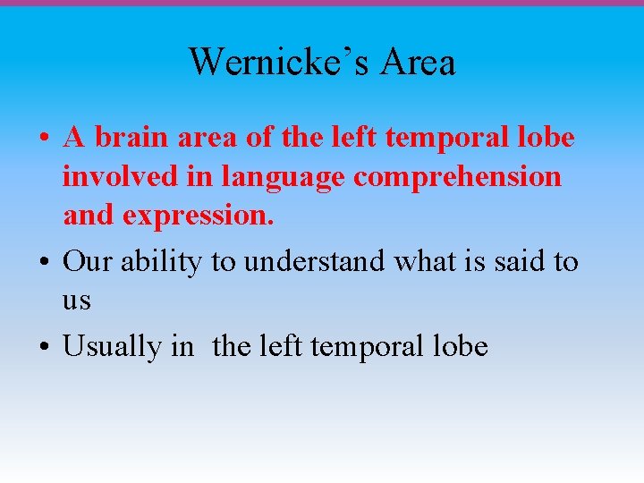 Wernicke’s Area • A brain area of the left temporal lobe involved in language