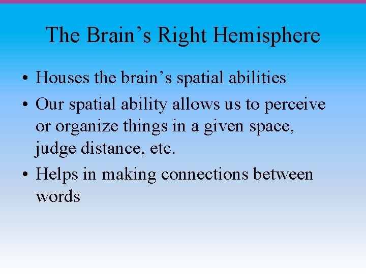 The Brain’s Right Hemisphere • Houses the brain’s spatial abilities • Our spatial ability