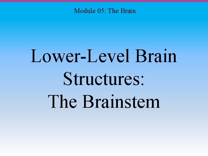 Module 05: The Brain Lower-Level Brain Structures: The Brainstem 