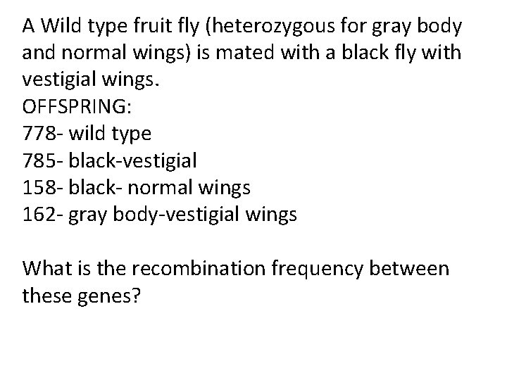 A Wild type fruit fly (heterozygous for gray body and normal wings) is mated A Wild type fruit fly (heterozygous for gray body and normal wings) is mated