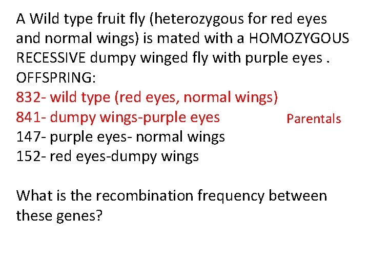 A Wild type fruit fly (heterozygous for red eyes and normal wings) is mated A Wild type fruit fly (heterozygous for red eyes and normal wings) is mated