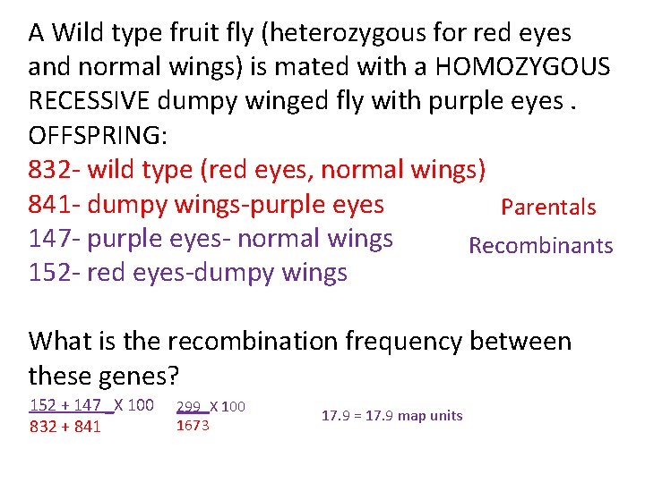A Wild type fruit fly (heterozygous for red eyes and normal wings) is mated A Wild type fruit fly (heterozygous for red eyes and normal wings) is mated