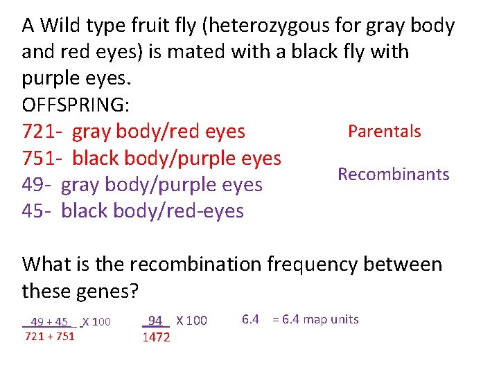 A Wild type fruit fly (heterozygous for gray body and red eyes) is mated A Wild type fruit fly (heterozygous for gray body and red eyes) is mated