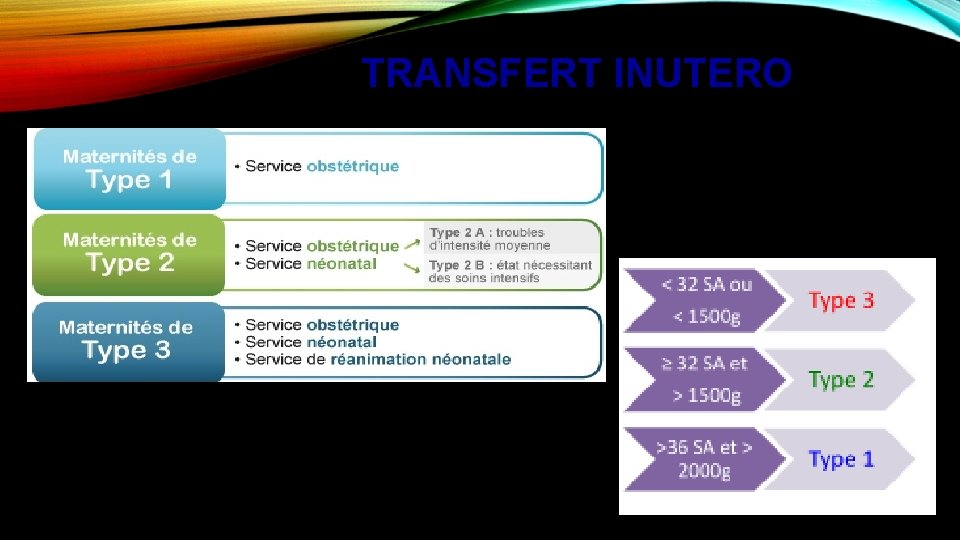 TRANSFERT INUTERO 