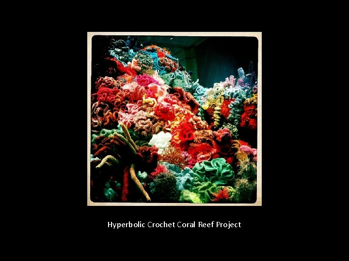 Hyperbolic Crochet Coral Reef Project 