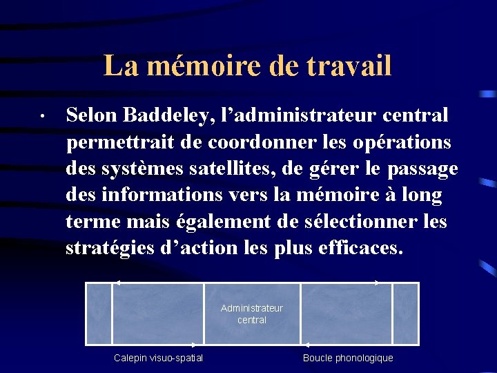 La mémoire de travail • Selon Baddeley, l’administrateur central permettrait de coordonner les opérations