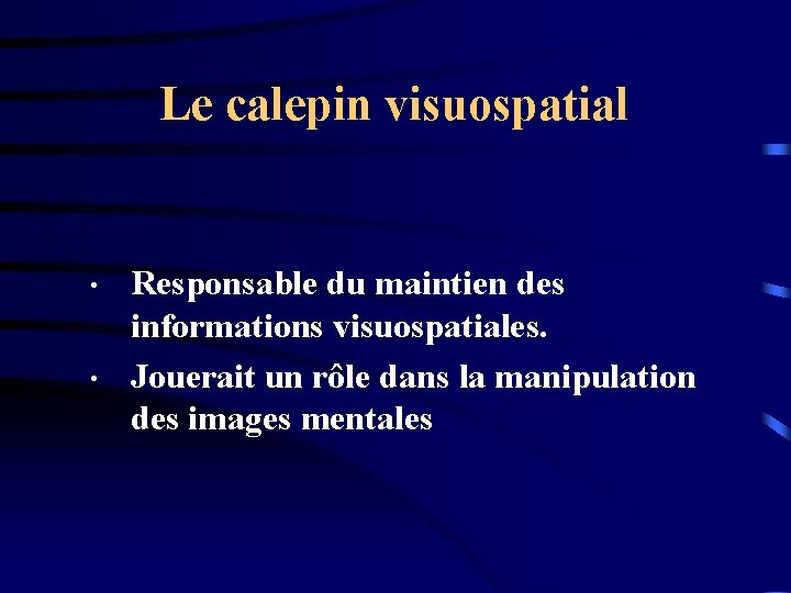 Le calepin visuospatial • • Responsable du maintien des informations visuospatiales. Jouerait un rôle