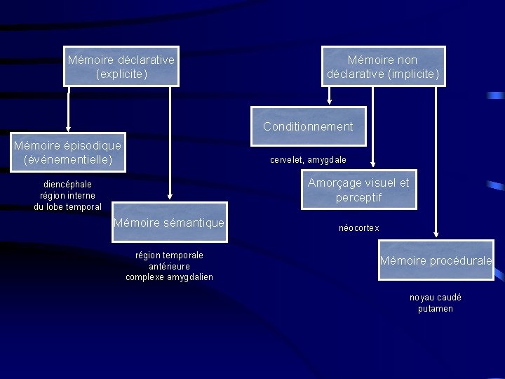 Mémoire déclarative (explicite) Mémoire non déclarative (implicite) Conditionnement Mémoire épisodique (événementielle) cervelet, amygdale Amorçage