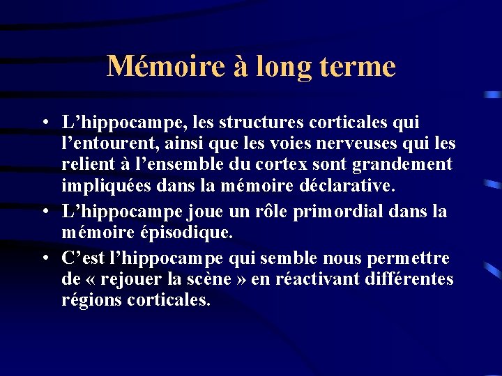 Mémoire à long terme • L’hippocampe, les structures corticales qui l’entourent, ainsi que les