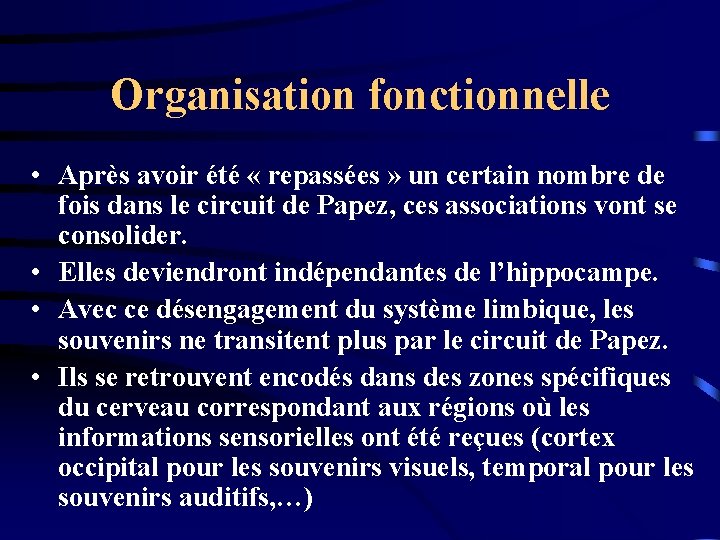 Organisation fonctionnelle • Après avoir été « repassées » un certain nombre de fois