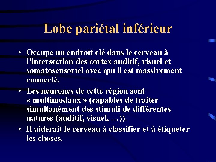 Lobe pariétal inférieur • Occupe un endroit clé dans le cerveau à l’intersection des