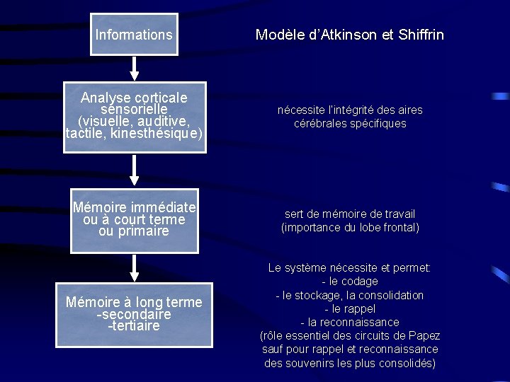 Informations Modèle d’Atkinson et Shiffrin Analyse corticale sensorielle (visuelle, auditive, tactile, kinesthésique) nécessite l’intégrité