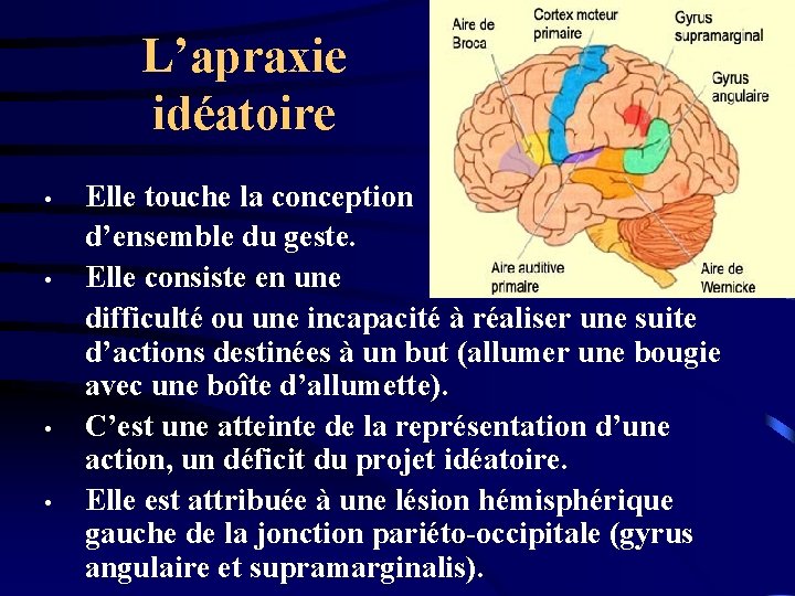 L’apraxie idéatoire • • Elle touche la conception d’ensemble du geste. Elle consiste en