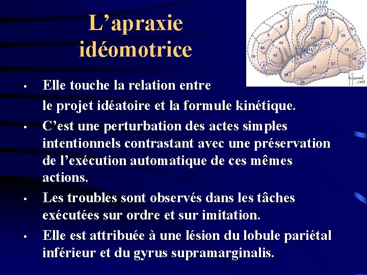 L’apraxie idéomotrice • • Elle touche la relation entre le projet idéatoire et la