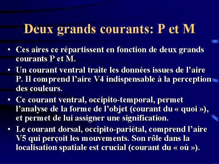 Deux grands courants: P et M • Ces aires ce répartissent en fonction de