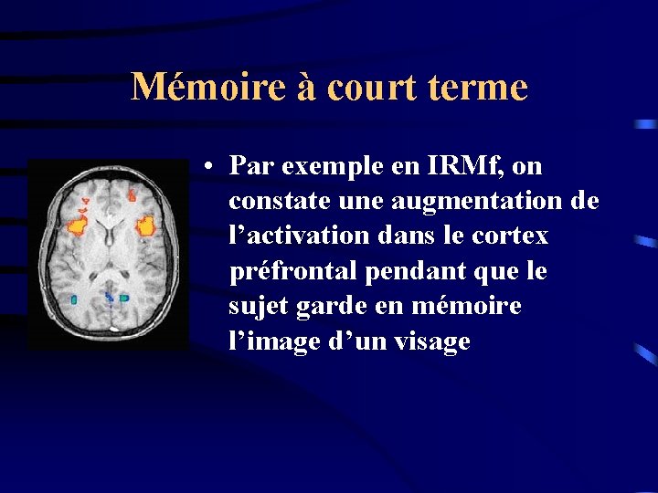 Mémoire à court terme • Par exemple en IRMf, on constate une augmentation de