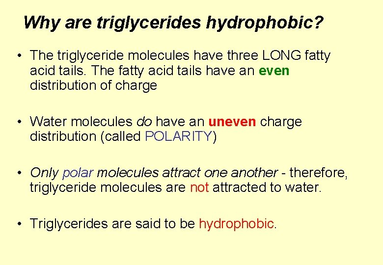 Why are triglycerides hydrophobic? • The triglyceride molecules have three LONG fatty acid tails.
