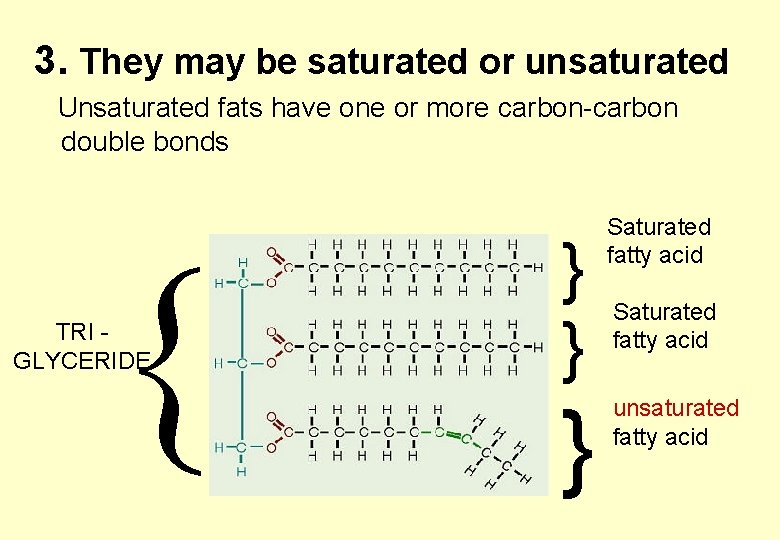 3. They may be saturated or unsaturated Unsaturated fats have one or more carbon-carbon