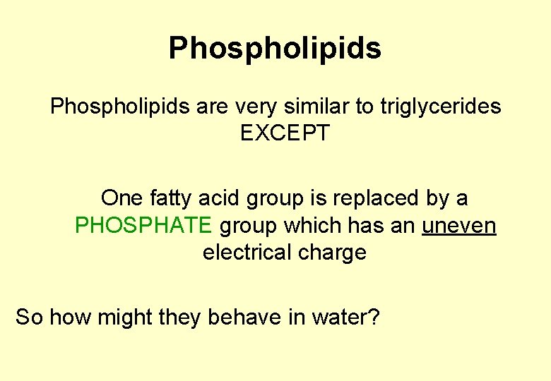 Phospholipids are very similar to triglycerides EXCEPT One fatty acid group is replaced by