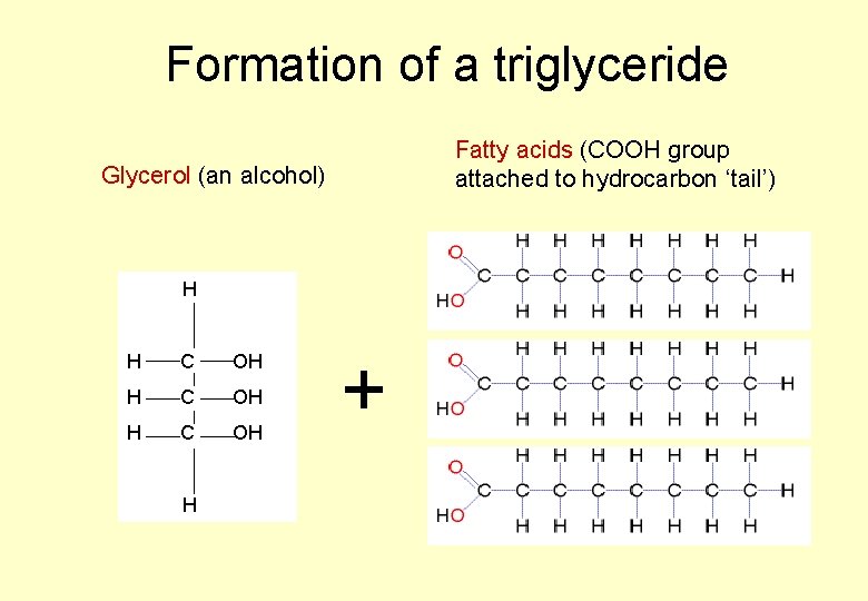 BIOLOGICAL MOLECULES 3 TYPES CARBOHYDRATES LIPIDS PROTEINS Lipids