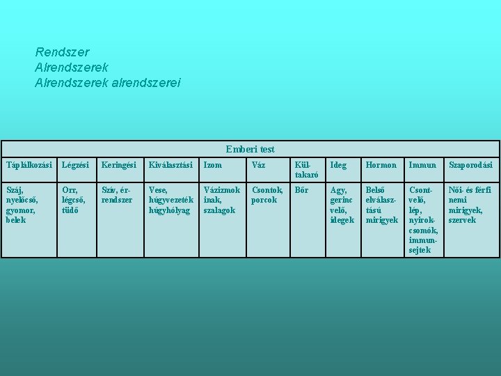 Rendszer Alrendszerek alrendszerei Emberi test Táplálkozási Légzési Keringési Kiválasztási Izom Váz Kültakaró Ideg Hormon