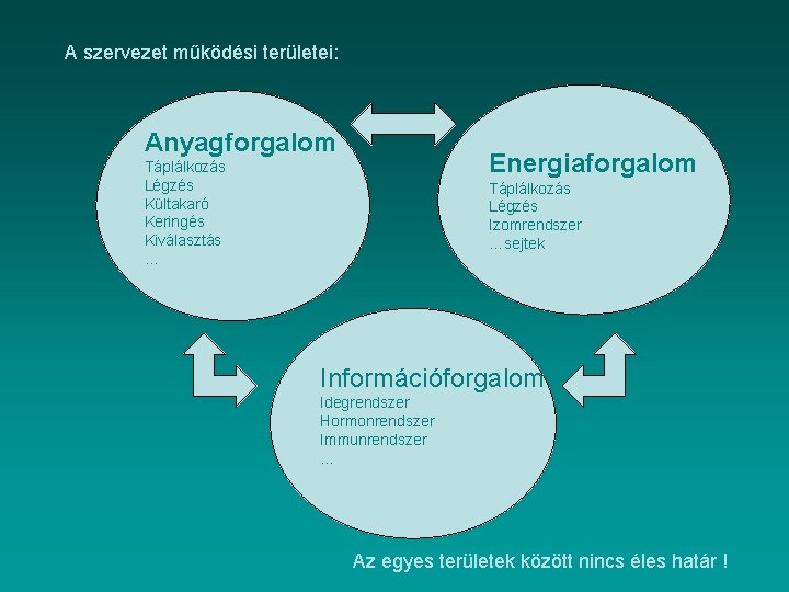 A szervezet működési területei: Anyagforgalom Energiaforgalom Táplálkozás Légzés Kültakaró Keringés Kiválasztás … Táplálkozás Légzés