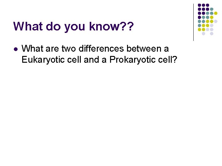 What do you know? ? l What are two differences between a Eukaryotic cell